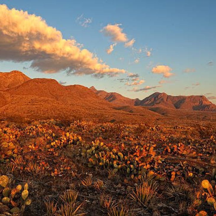 Fall 2026 – El Paso, Texas, USA